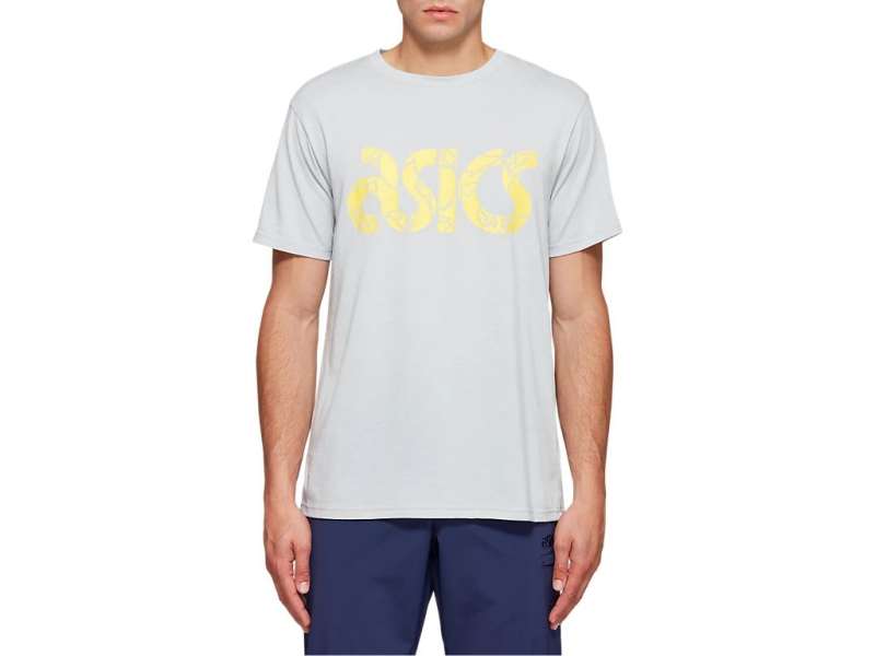 Asics Jersey Graphic κοντο Sleeve Tee γκρι | xxyYbluQB