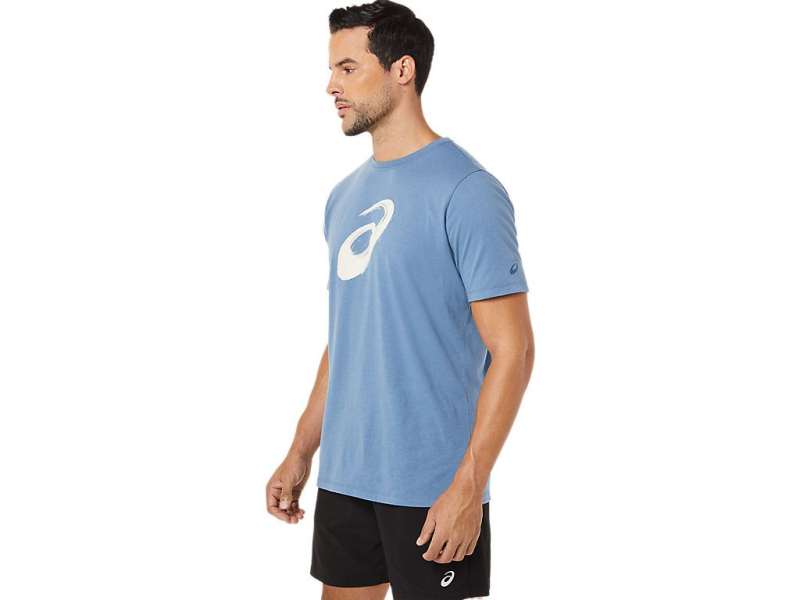 Asics Xg Paintbrush κοντο Sleeve Tee μπλε | SpkXPe9H7